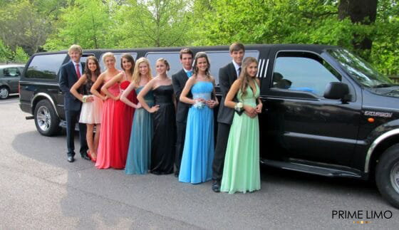 Mercedes Party Bus (12-14 Passengers)